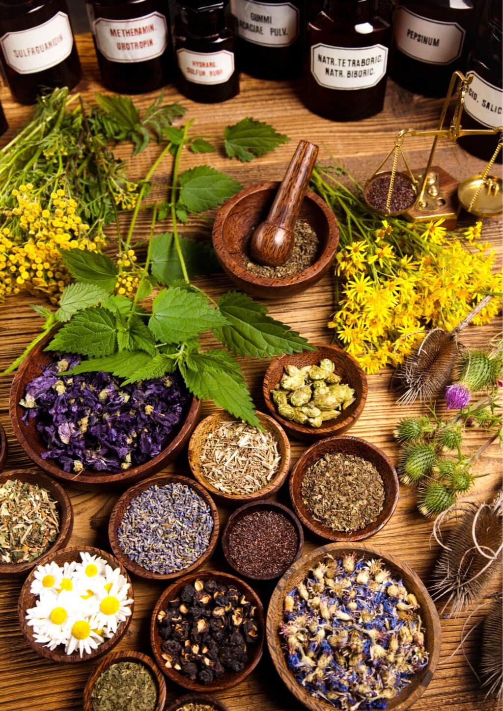 aromatherapy vs. herbalism Uttati oils herbal medicines